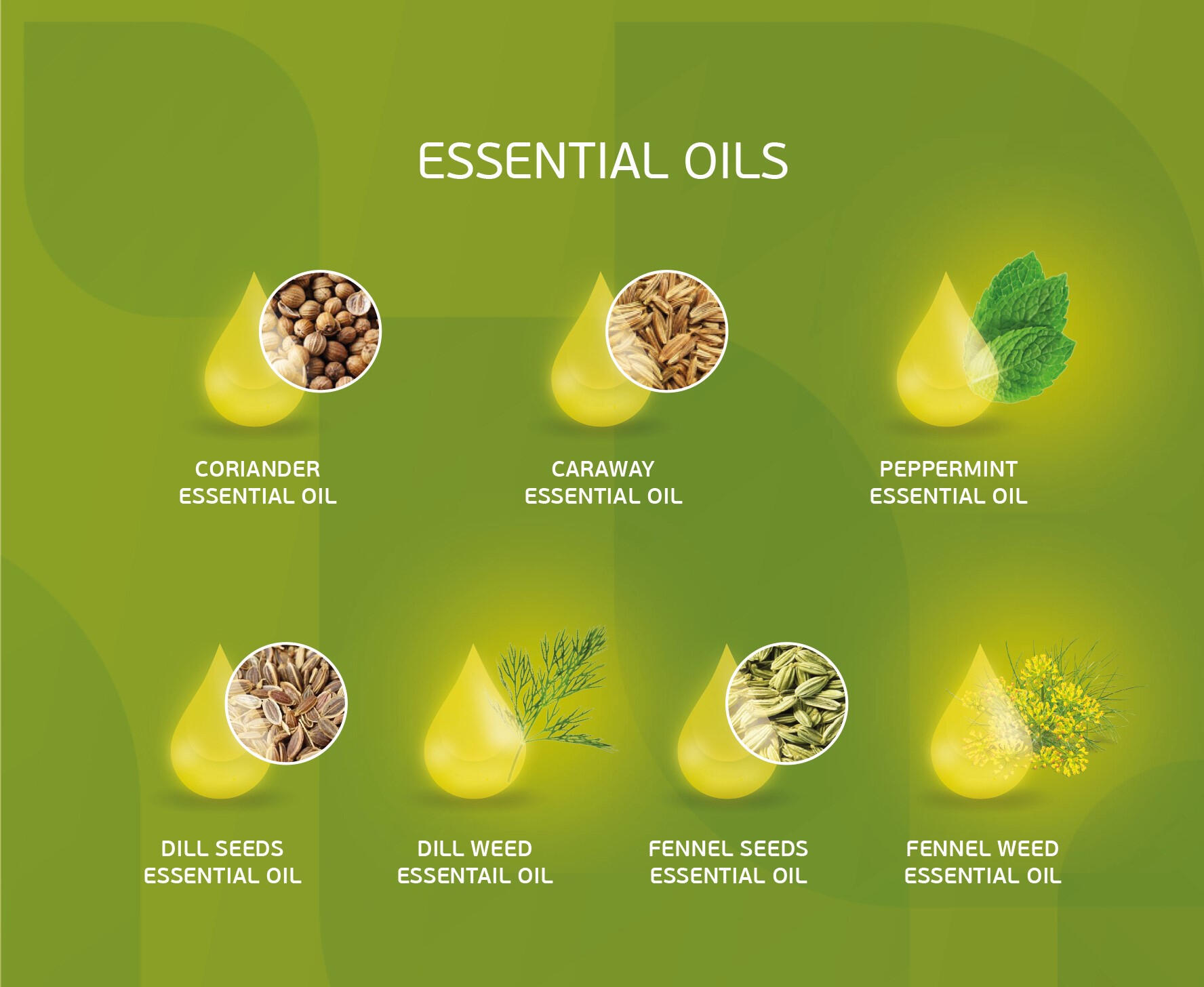 Change language to Polish